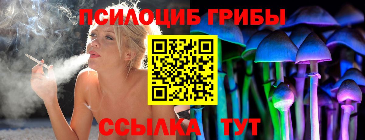 цена   Псилоцибиновые грибы Psilocybine cubensis  Вход с VPN  Саянск 
